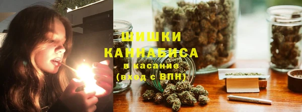 прущие грибы Арсеньев