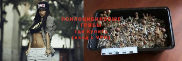 прущие грибы Арсеньев