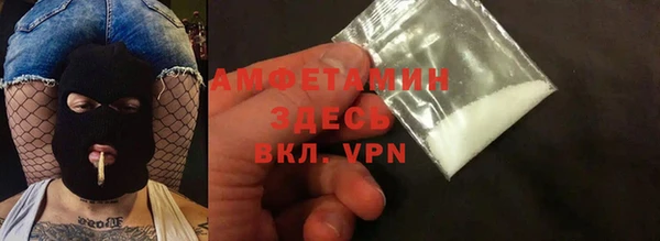 прущие грибы Арсеньев