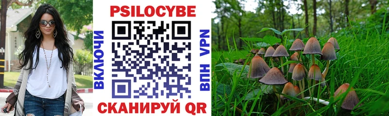 как найти закладки  Пролетарск  Псилоцибиновые грибы GOLDEN TEACHER 
